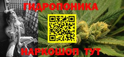 круглые Кингисепп